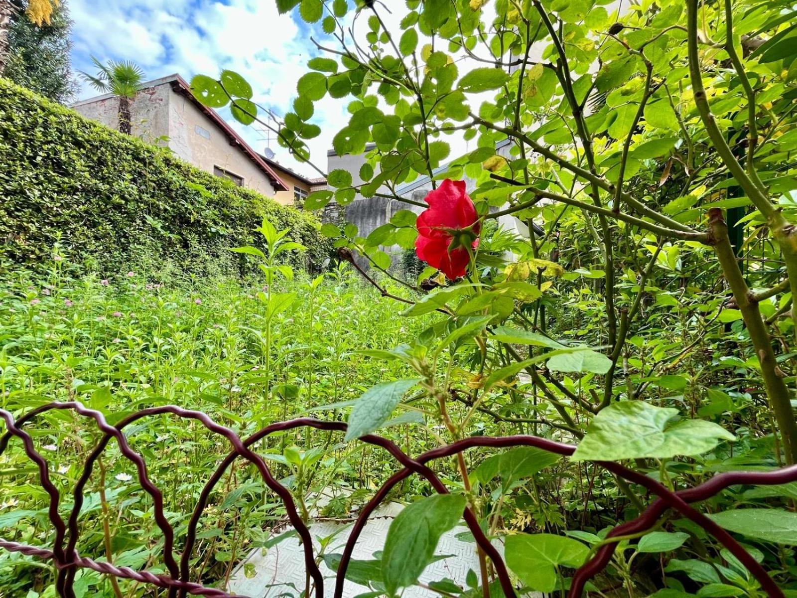 Appartamento Frida Angera Exterior photo